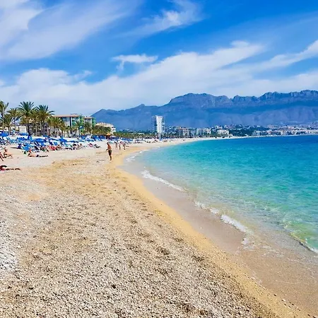 Estrella Ii El Albir